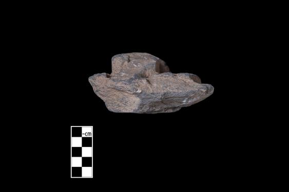 Image of Male devotee