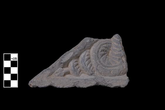 Image of Ichthyocentaur