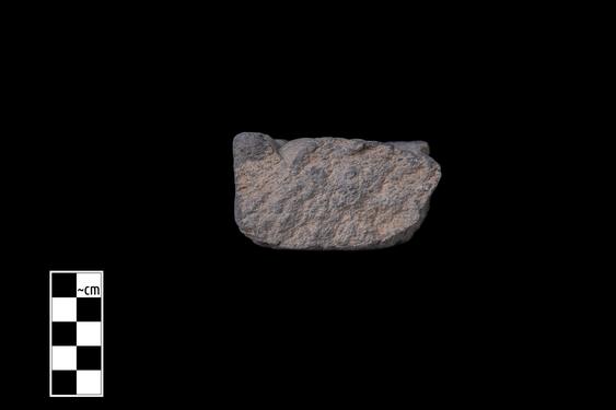 Image of Ichthyocentaur