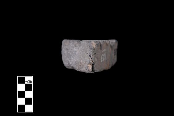 Image of Ichthyocentaur