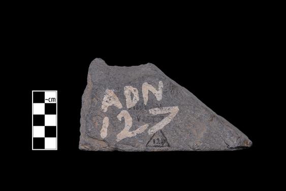 Image of Ichthyocentaur