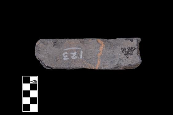 Image of Ichthyocentaur