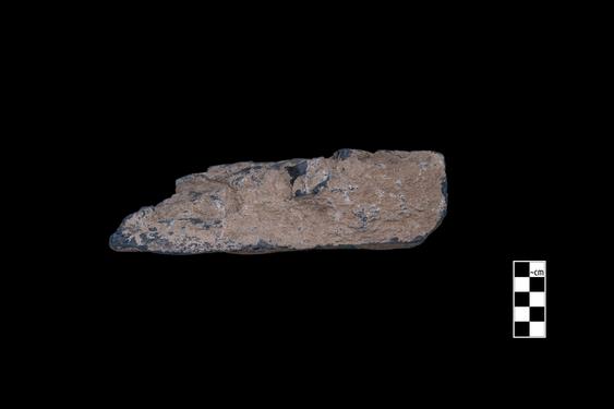 Image of Ascetic; male devotees