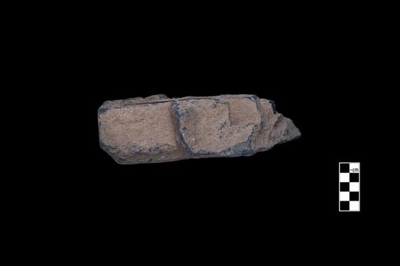 Image of Ascetic; male devotees