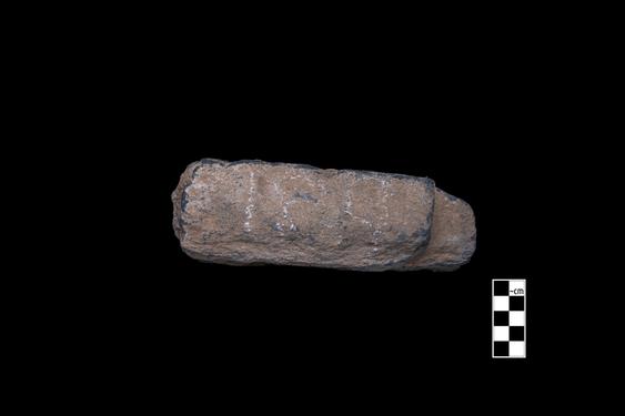 Image of Ascetic; male devotees