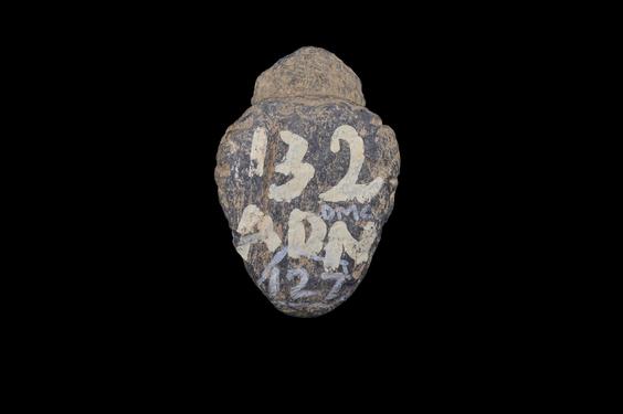 Image of Bodhisattva