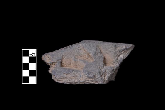 Image of Unidentified