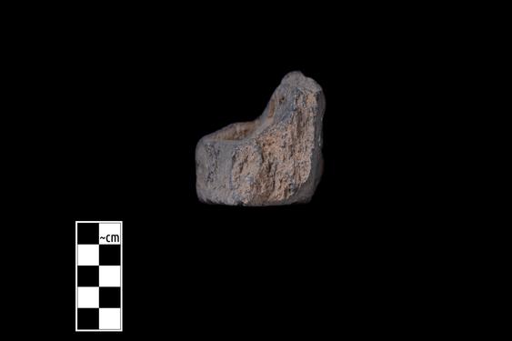 Image of Unidentified