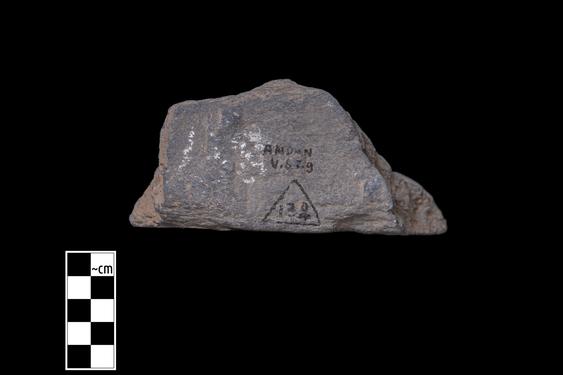 Image of Unidentified