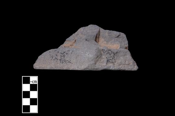 Image of Unidentified