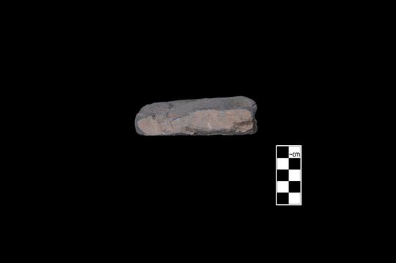 Image of Fantastic animal