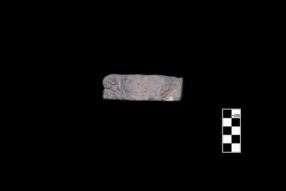 Image of Fantastic animal