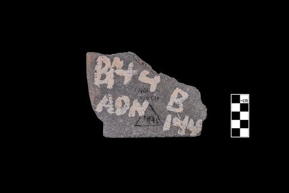 Image of Fantastic animal