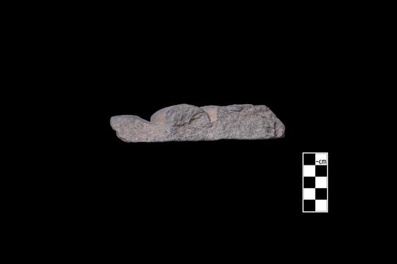 Image of Fantastic animal