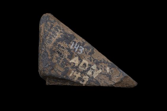 Image of Ichthyocentaur