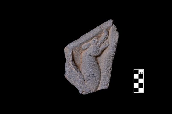 Image of Fantastic animal