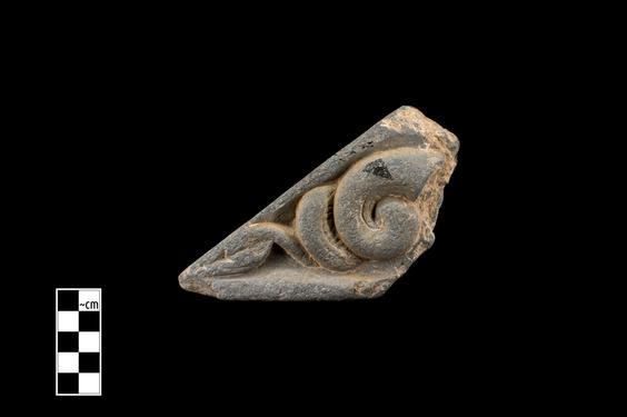 Image of Fantastic animal