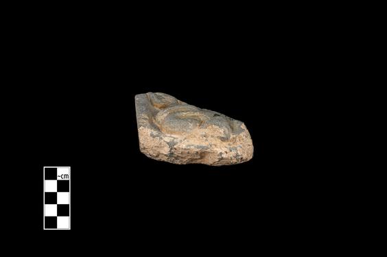 Image of Fantastic animal