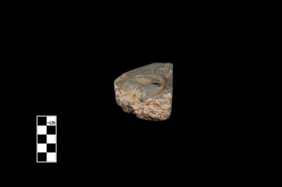 Image of Fantastic animal