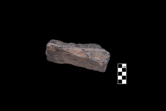 Image of Revelry scene