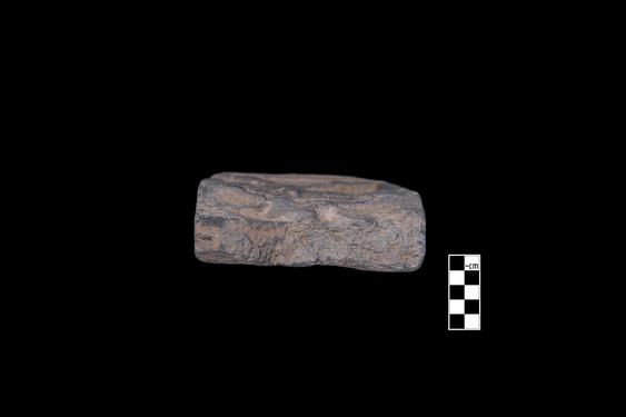 Image of Revelry scene