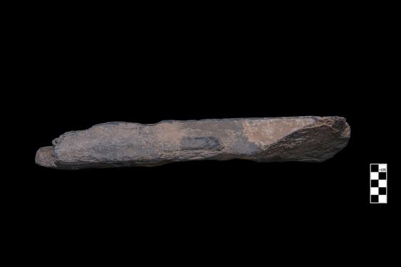 Image of Revelry scene