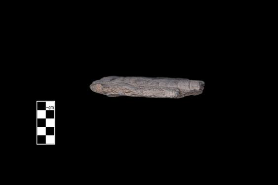 Image of Ichthyocentaur