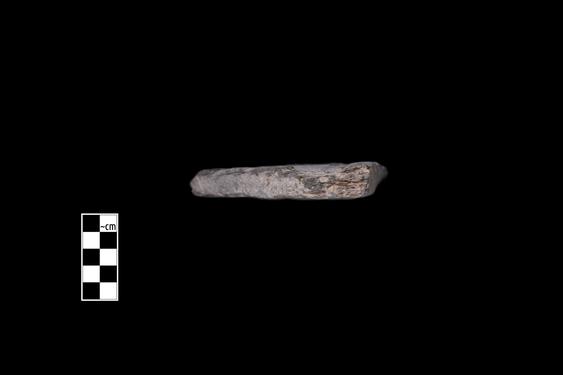 Image of Ichthyocentaur