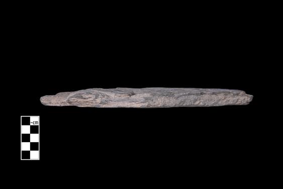 Image of Ichthyocentaur