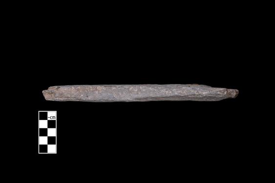 Image of Ichthyocentaur