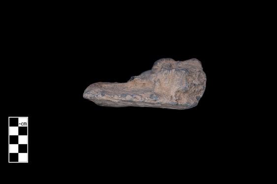 Image of Female figures