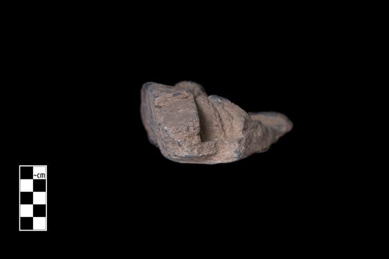 Image of Female figures