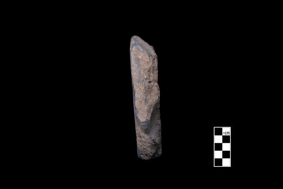 Image of Vine scroll, rosettes