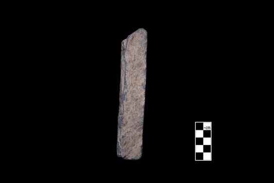 Image of Vine scroll, rosettes