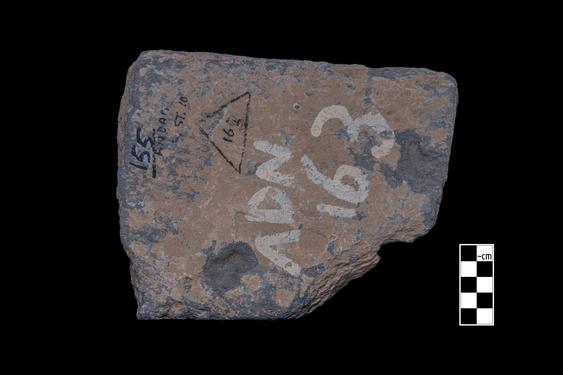 Image of Vine scroll, rosettes