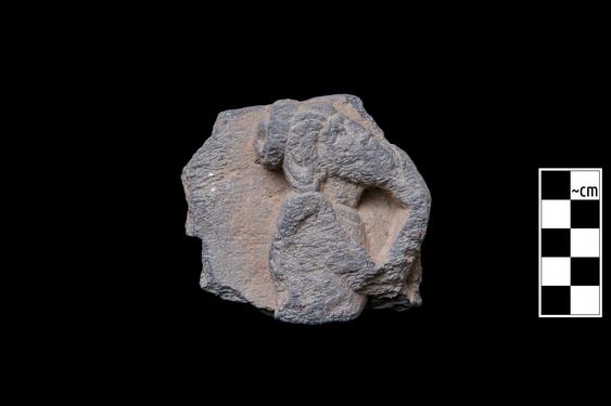 Image of Elderly ascetic