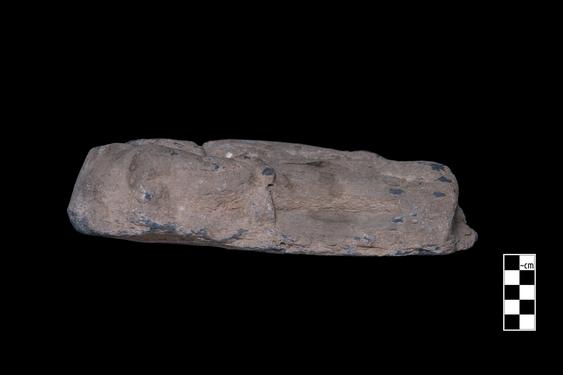 Image of Last Existence: Story of the White Elephant