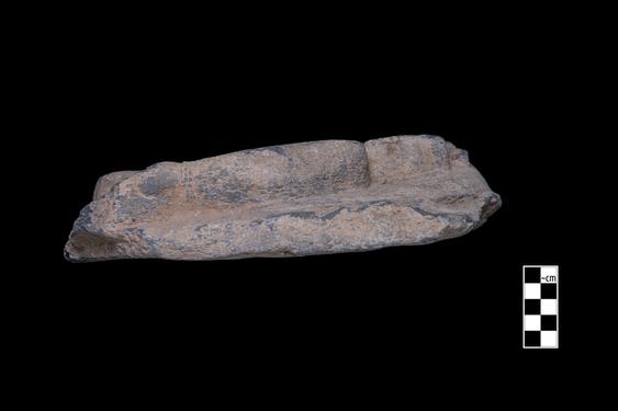 Image of Last Existence: Story of the White Elephant