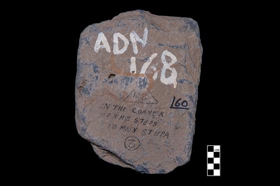 Image of Last Existence: Story of the White Elephant