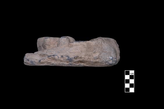 Image of Last Existence: Story of the White Elephant