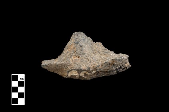 Image of Male figure