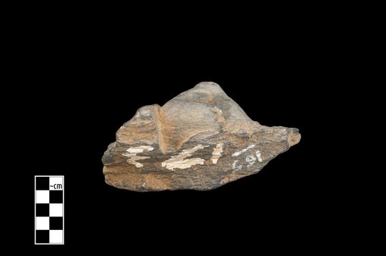 Image of Male figure