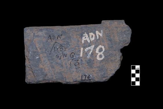 Image of Dragon fight