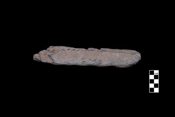 Image of Dragon fight