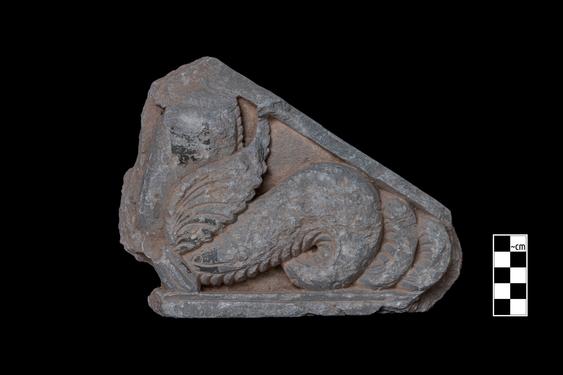 Image of Ichthyocentaur