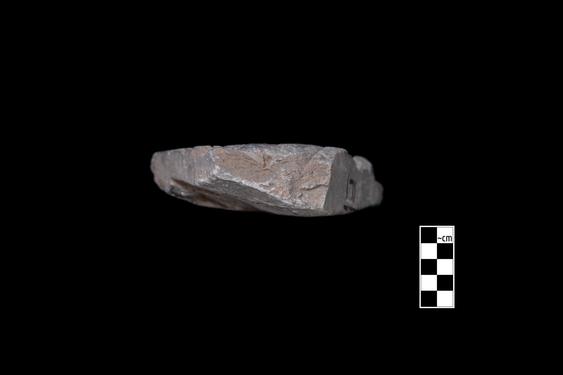 Image of Ichthyocentaur