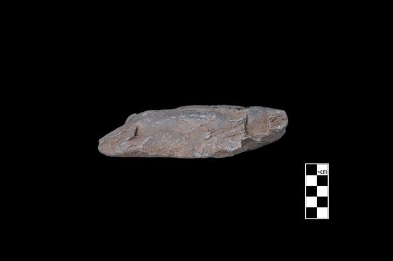 Image of Ichthyocentaur