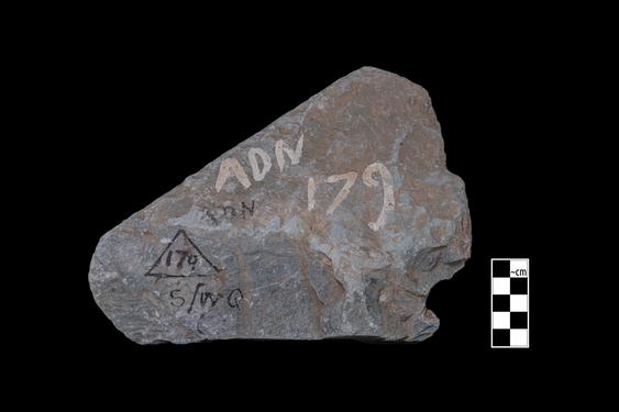 Image of Ichthyocentaur