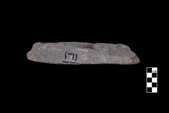 Image of Ichthyocentaur