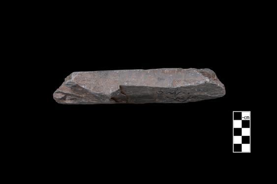 Image of Ichthyocentaur